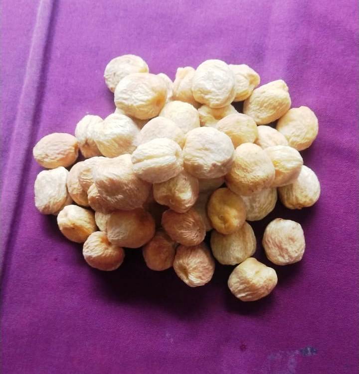 Jarise(Coconut Sweet)